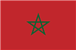Pointer anglais éleveurs et chiots au Maroc