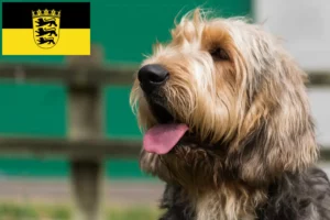 Lire la suite à propos de l’article Éleveurs de chiens loutres et chiots dans le Bade-Wurtemberg