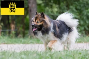 Lire la suite à propos de l’article Éleveurs Elo et chiots en Baden-Württemberg
