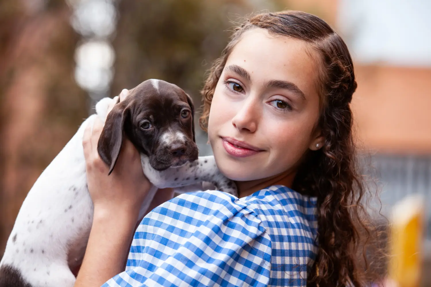 Acheter un chiot Braque français type Gascogne, c'est prendre ses responsabilités ! Braque français type Gascogne acheter chiots.