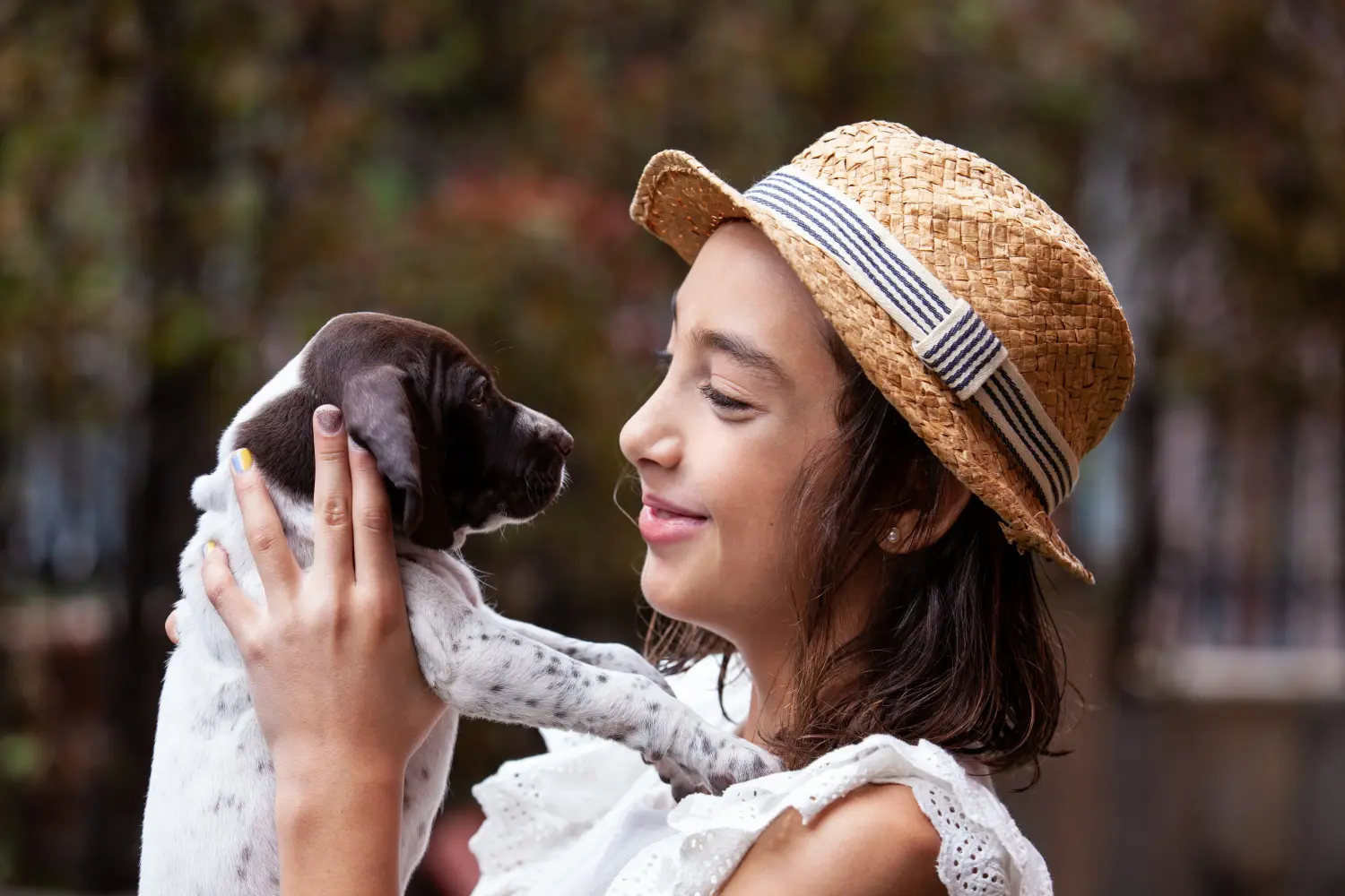 Acheter un chiot Braque français type Gascogne, c'est prendre ses responsabilités ! Braque français type Gascogne acheter chiots.