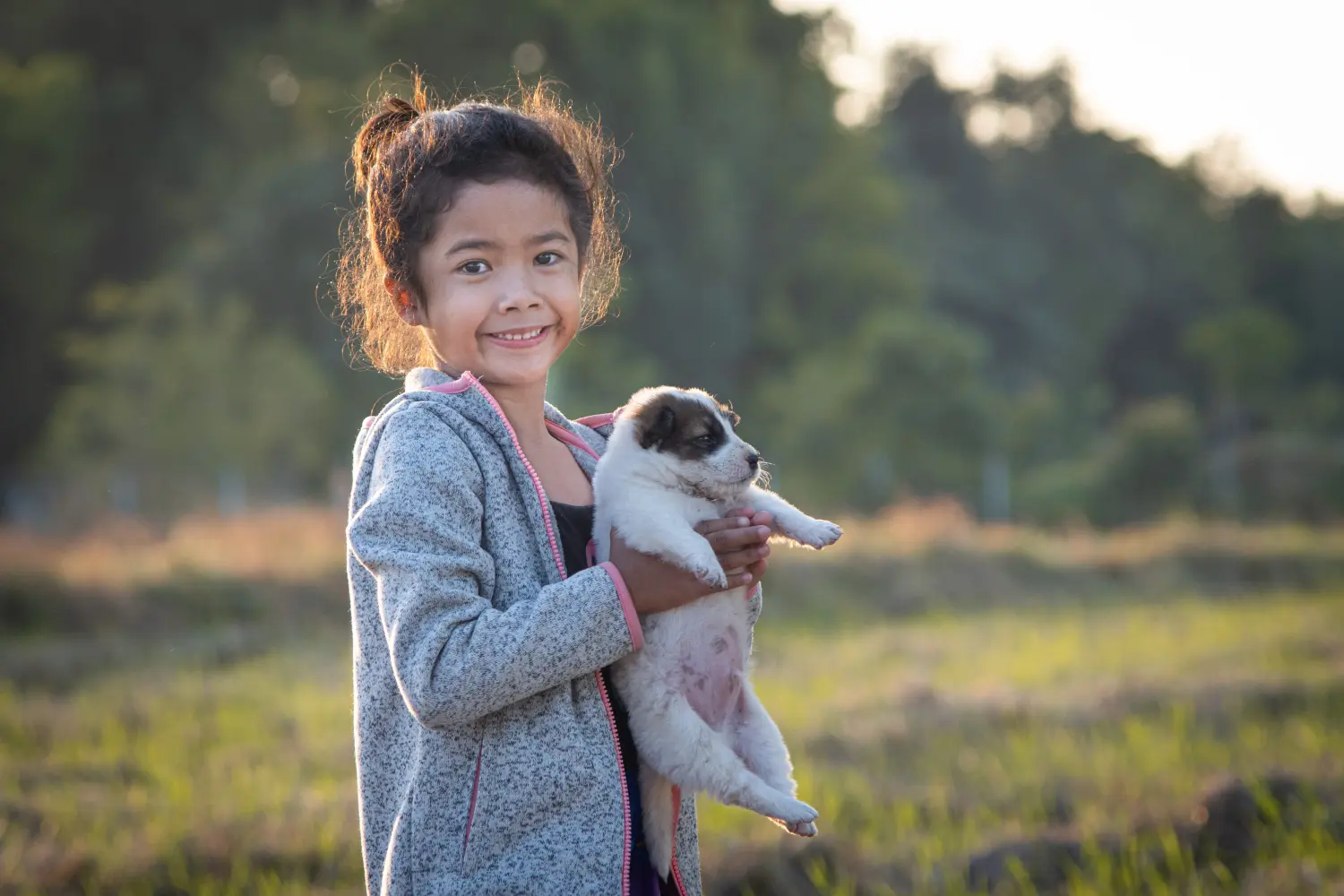 Thai Bangkaew Dog - Mon amour pour cette race de chien. Pourquoi j'aime le Thai Bangkaew Dog
